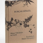 Minor Vibrations on Earth