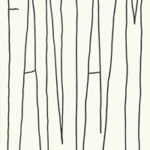 Fantasm